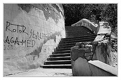 photo "Ladder"