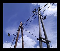 фото "The Tricky Task of Electrification"