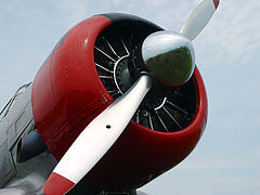 photo "T6"