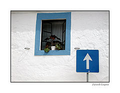photo "urban things #2"