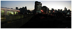 фото "Metropolis"