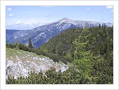 фото "The Other Side of Schneeberg"