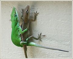 photo "Wanna be happy keep right angle!"