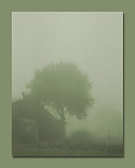 photo "Mist in the morning"