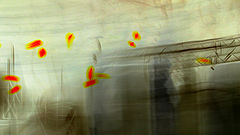 photo "UFO.."