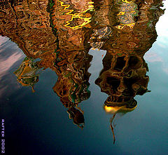 photo "Reflection..."