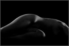 фото "Torso "M""