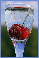 фото "Glass"