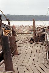 photo "Untitled photo"