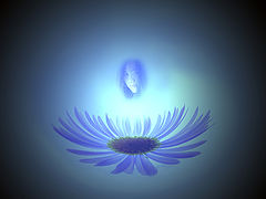 photo "The Vision"