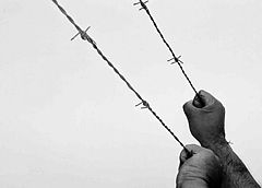 фото "cry freedom"