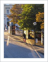 фото "Evening"