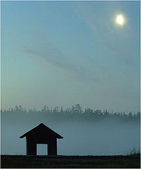 photo "night. lake. fog."