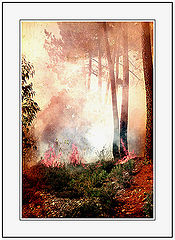 фото "The Flames, the Smoke and the Sparks."