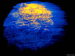 фото "Dream of You"