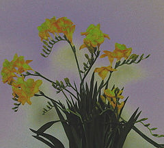 фото ""Pastel Overture""