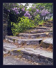 фото "Steps"