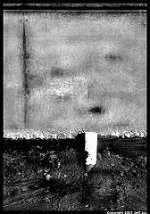 фото "Grow"