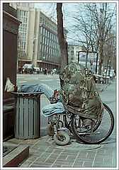 photo "All thank, all are free!.."