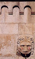 фото "the crying lion"
