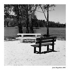фото "Conversation"