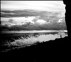 фото "Who is stronger?"