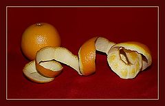 фото "still life-23"