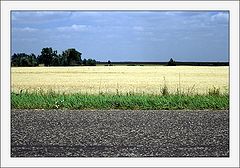 photo "Banding"