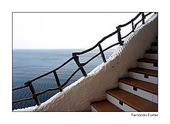 photo "Elements"