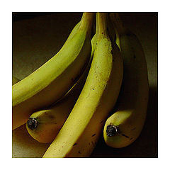 photo "still life"