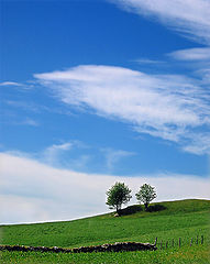 photo "The Sky"