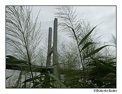 photo "Vasco da Gama bridge over Tejo"