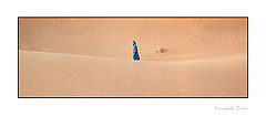 фото "Thuareg in Sahara"