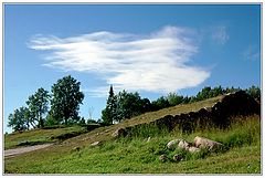 photo "solovki. trees and clouds"