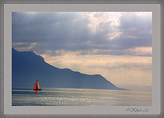 фото "Loneliness"