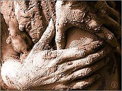 photo "firstwoman/ hands"