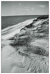 photo "Dune"