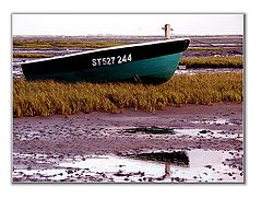 фото "the boat"