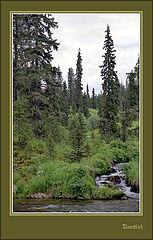 photo "Wild taiga"
