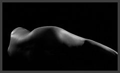 фото "Lines nr 7"