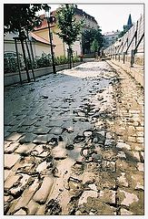 photo "After flood (Praha)"
