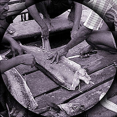 фото "Fish on Good Hands"