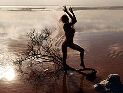 фото "Salt Lake_2..."