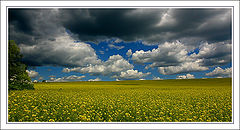 фотоальбом "Пейзаж"