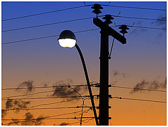 photo "Good evening"