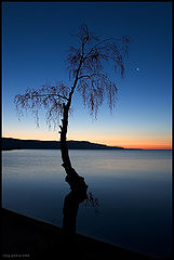 photo "When retreats the night..."