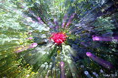 фото "At the centre of gravity"