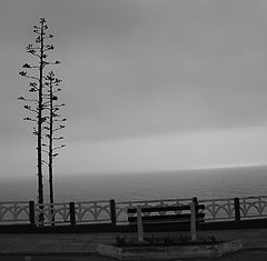 photo "Waiting"