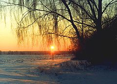 фото "Зимний восход - 5"