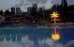 фото "В свете "жарких" пальм"